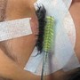 Eyelash Extension Removal