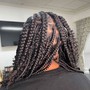 Jumbo (Traditional) Box Braids