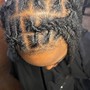 Root Touch Up