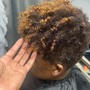 Root Touch Up