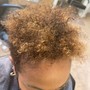 Root Touch Up