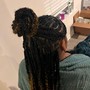 Large Passion/Havana Twists