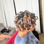 Root Touch Up