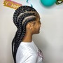 Two Braided Ponytails