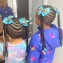 Individual Braids ( Platts )