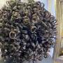 Flat Twist/ Twist Out