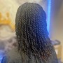 Mini Two Strand Twists