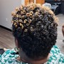 Shampoo & sponge-twist short natural hair only