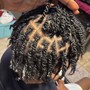 Natural Twists