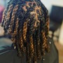 Havana Twists