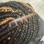 Braid Highlights