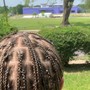 Kid’s Scalp Braids(weave)