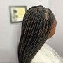 Standard Box Braids