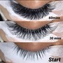 Volume Lash  Full Set