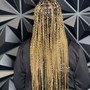 Senegalese Twist (Midback)