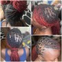 Root Touch Up