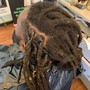 Two strand twist starter locs