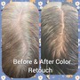 Root Touch Up  (Semi permanent)