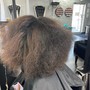 Root Touch Up