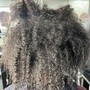 Root Touch Up