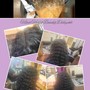 Lace Closure Sew In