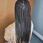 Senegalese Twist small and long