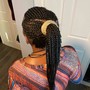 Large butterfly braids