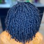 Wash, Blowout, Trim, and Twists