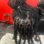 Retwist, Style, Line Up