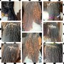 Sisterlocs/Brotherlocks Retightening