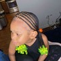 Braided Ponytail Hair Included