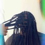 Starter Locs