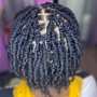 Starter Locs