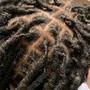 Dreadlocks retwist fade only