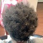 Starter Locs full head