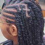 Kinky Twist