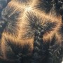 Bantu Knots