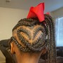 Kid's Braided Ponytail