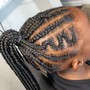 Kid's Braided Ponytail