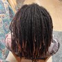 Adult Starter locs