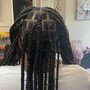 Dread Locs Maintenance