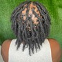 Locs maintenance / interlocs your locs