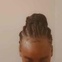 Small braided ponytail