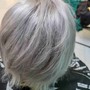 Color- Root Touch Up w/ Basic Style