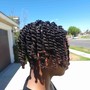 Natural Twists ( Twist Out )