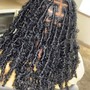 Extended Soft Locs