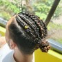 Cornrows, Dutch, French, fish tail