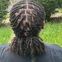 Faux Locs