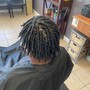 Starter dreadlocks