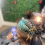 Loc Retwist